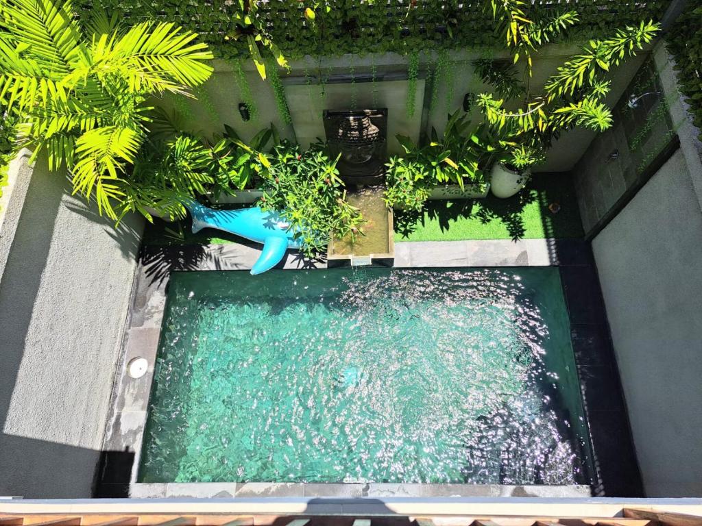 an overhead view of a swimming pool with a slide at Paddy Villa Sanur in Sanur