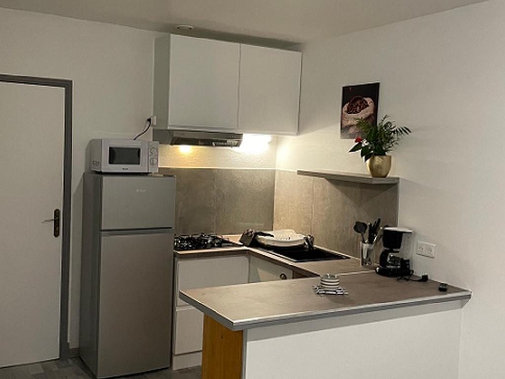 a small kitchen with a refrigerator and a microwave at Studio confortable - 4 pers. - API-1-52-2047 in Saint-Girons