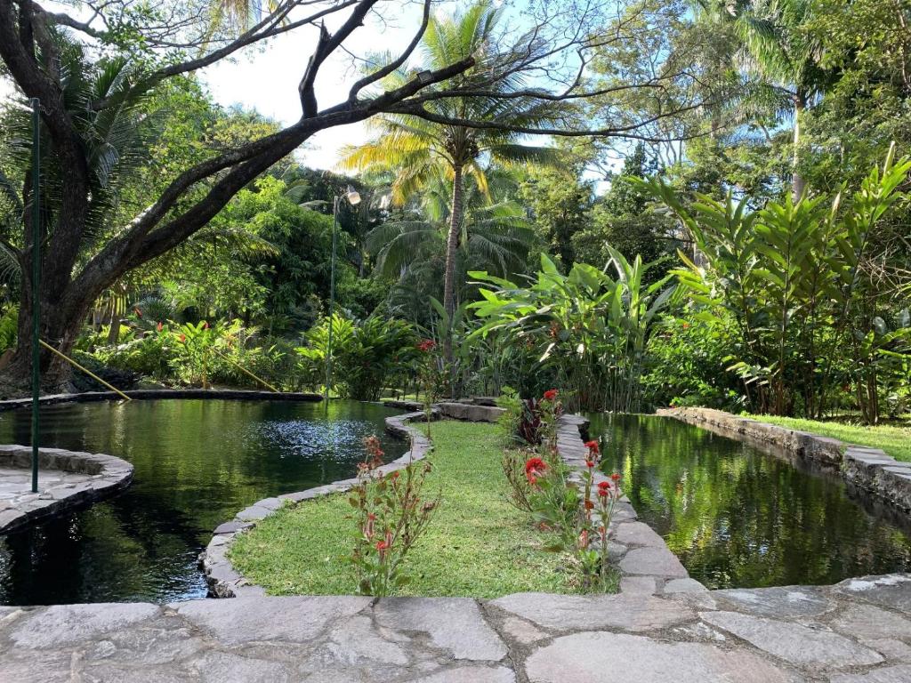 Thermal Paradise Villa