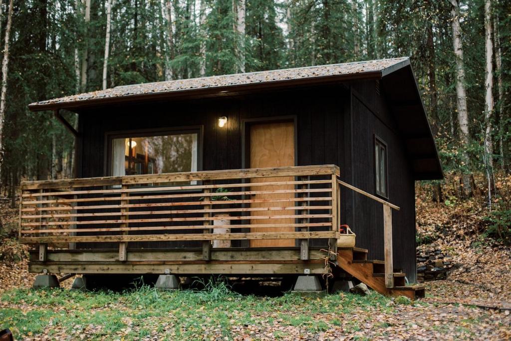 a small black cabin in the woods at Skogstead Cabin in the boreal forest in Fairbanks