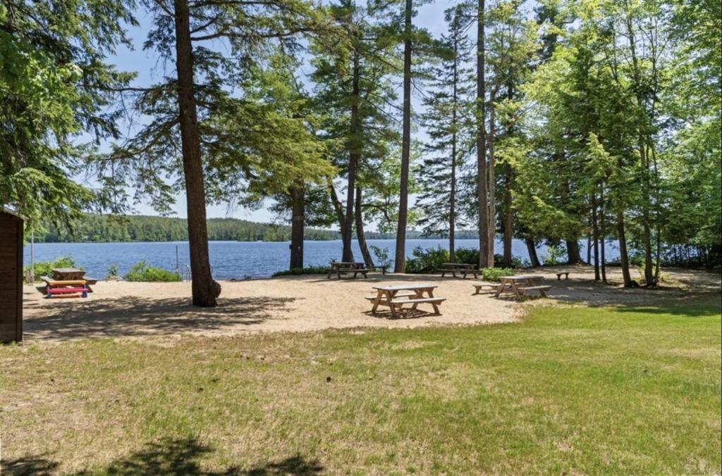 a park with picnic tables and a lake at STARGAZER SHORES LIMIT 8 villa in Bridgton