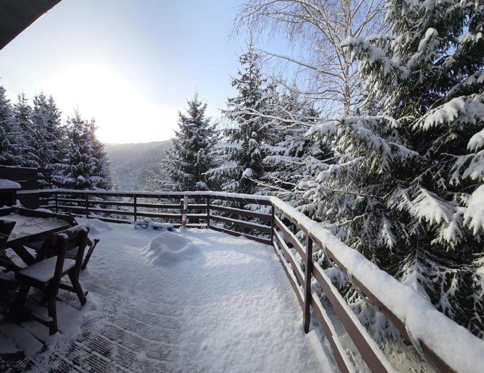 a snow covered forest with a wooden fence and a bench at Casa Ema Azuga in Azuga