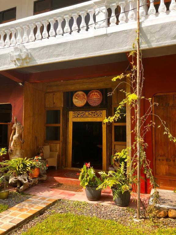 a house with pots of plants in front of it at Chakra Tavern in Bedugul