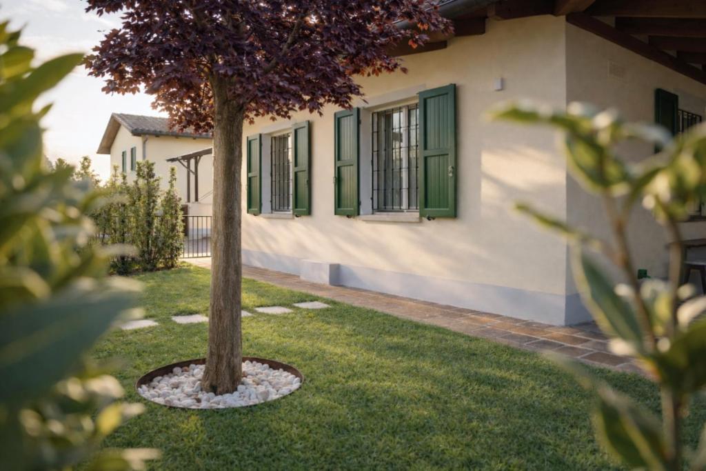 a tree in the yard of a house at Ca' Dei Coppi in Solignano Nuovo
