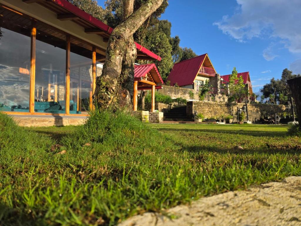 a tree in the grass in front of a building at The Jungle Hook Binsar in Almora