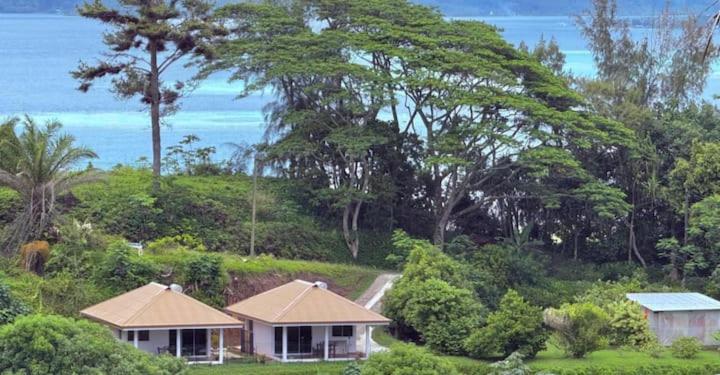 a house on a hill with trees and the ocean at Bungalow Hoarai in Uturoa