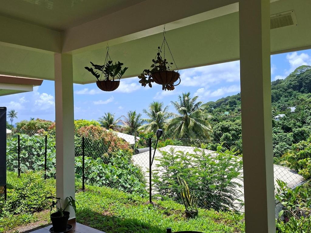 Bungalow Hoarai - photo 6 - Raiatea, Polynésie