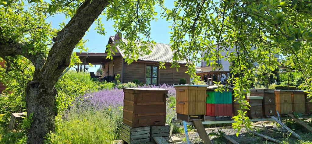 a house with a garden in front of it at Agroturystyka u Joli in Pacanów