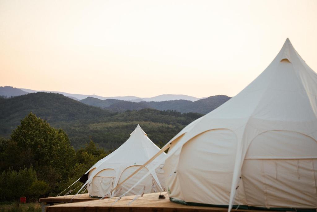 three white tents with mountains in the background at Glamping Stolat in Stolat