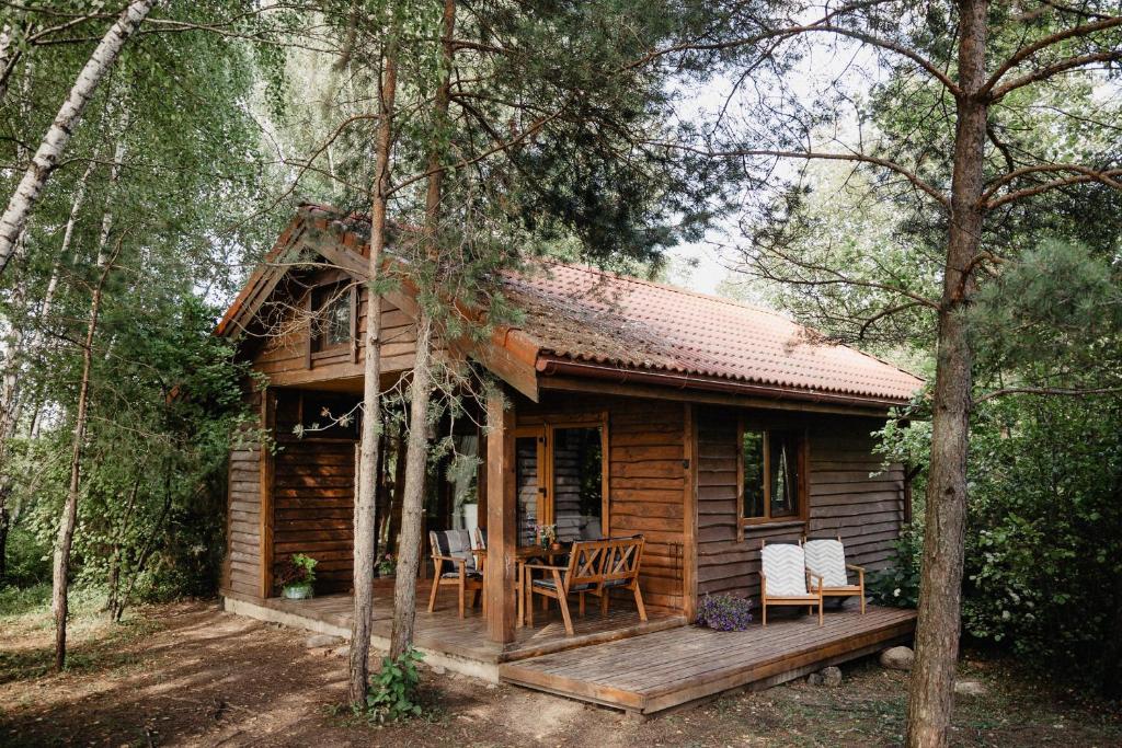 a wooden cabin in the woods with a table and chairs at Beržų namelis - Birch cabin in Kučiūnai