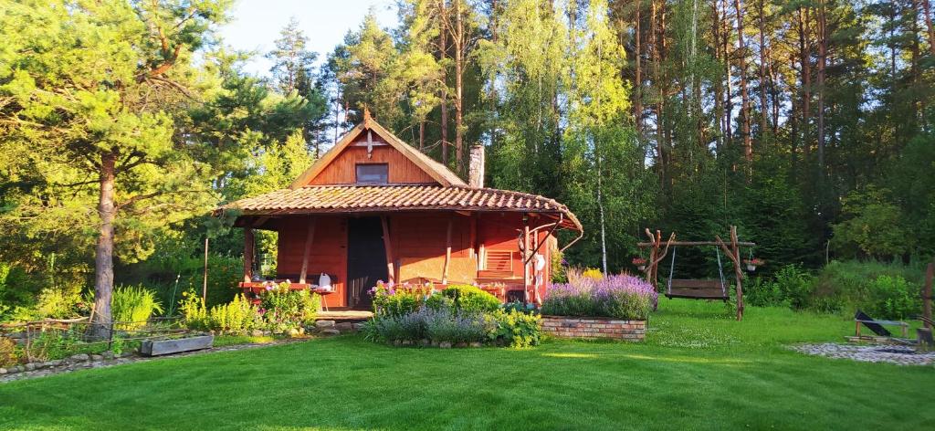 a small cabin in the middle of a yard at Podlaskie Żuczki in Żuki