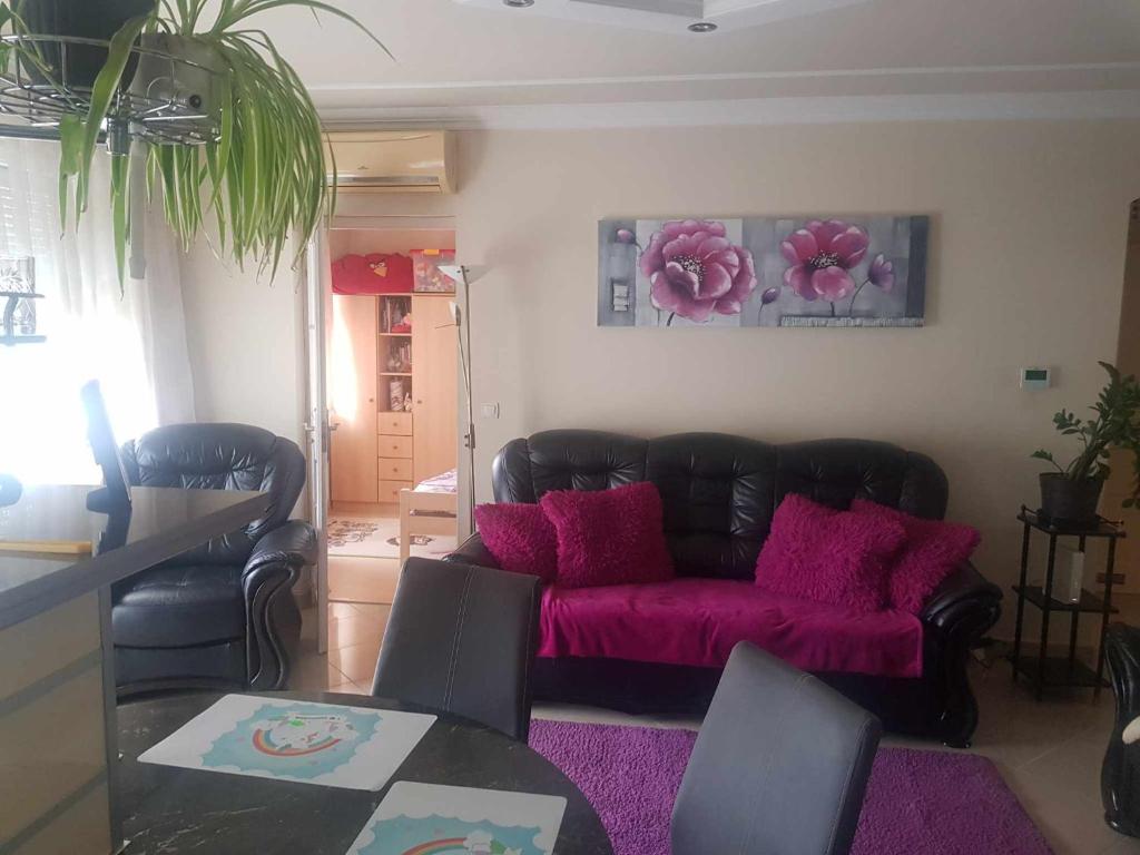 a living room with a couch with pink pillows at Elaktra Apartman in Szolnok
