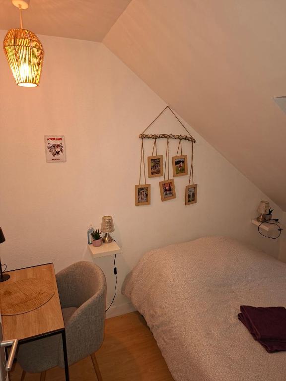 a bedroom with a bed and a chair in a attic at Chez Mimi et Mimine in Lons-le-Saunier