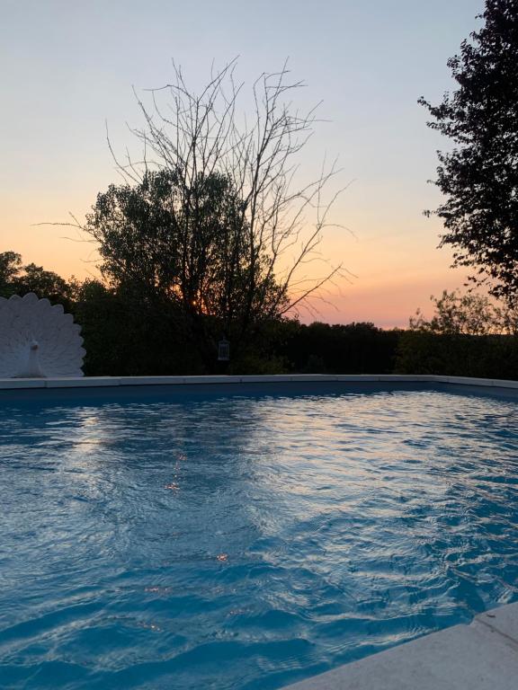 a swimming pool with a sunset in the background at Les Cocons de Nabeillou in Graulhet