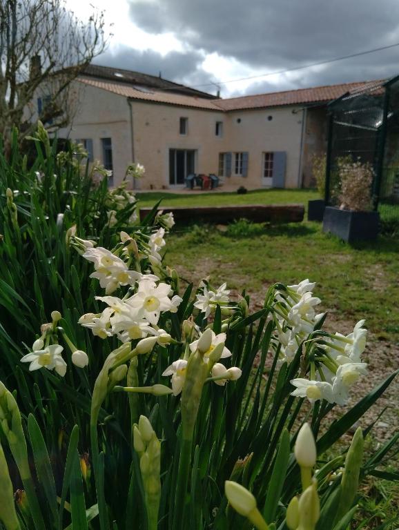 a bunch of white flowers in front of a building at Ty Véron, labellisé PMR in Asnières-la-Giraud