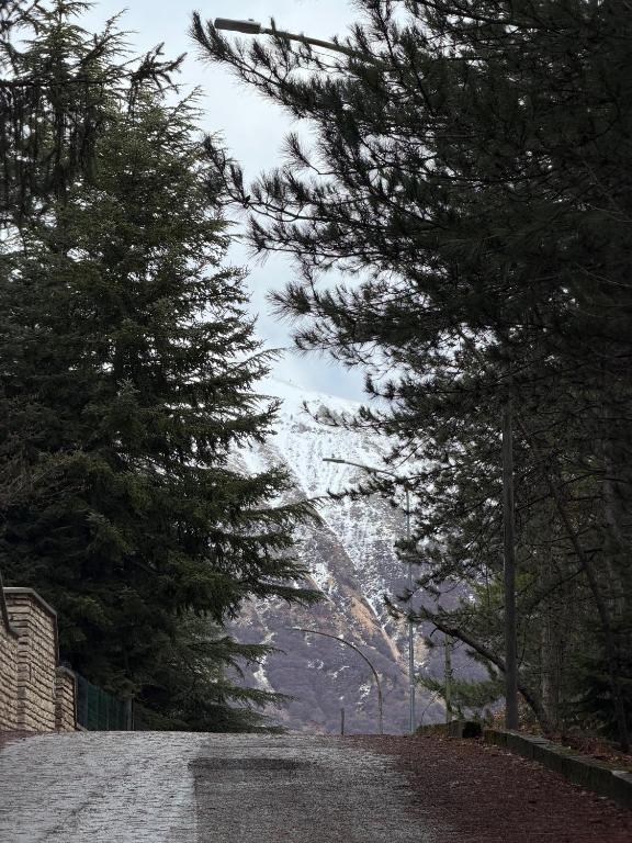 Casa dei Boschi - Campo di Giove - Appartamento Con 2 Camere Da Letto