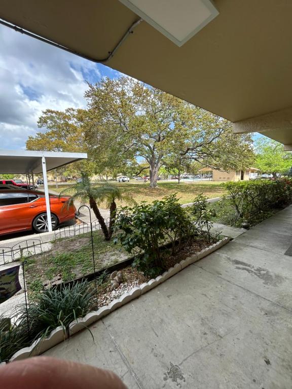 a view of a yard with a car parked in a parking lot at Clearwater Beach Getaway Clearwater in Clearwater