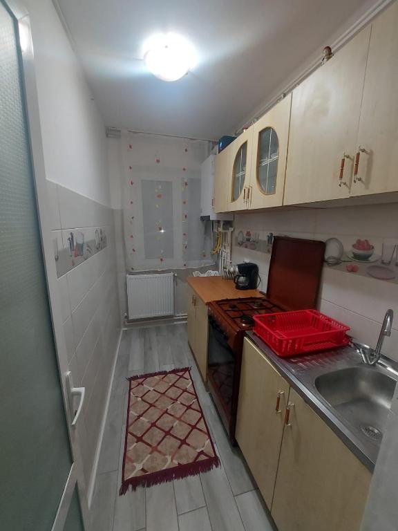 a small kitchen with a sink and a stove at Apartament Nina in Mangalia