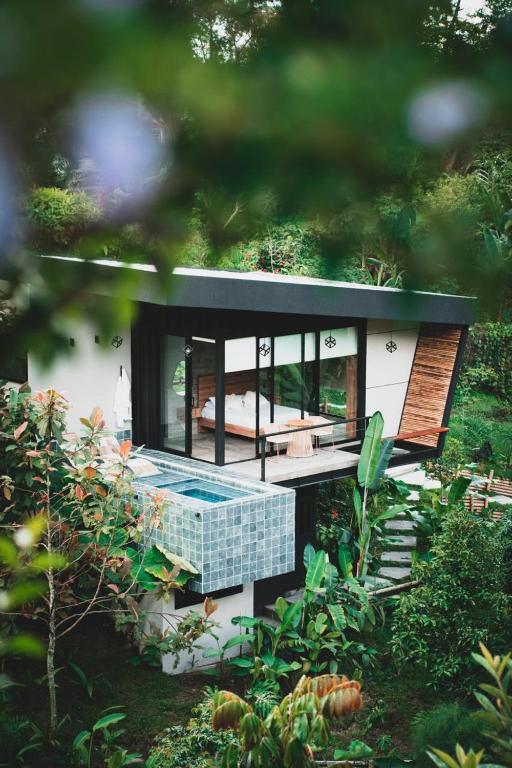 a house with a swimming pool in the yard at Primitivo Quindío in Circasia