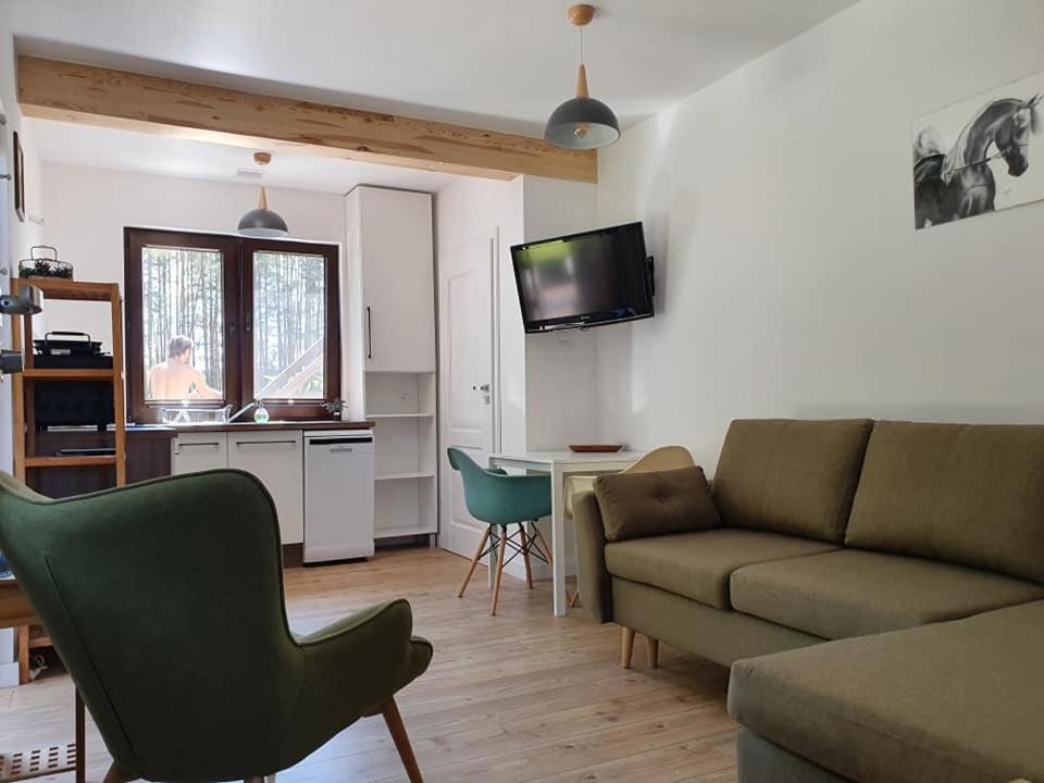 Siedlisko Owink - Estudio Con Terraza