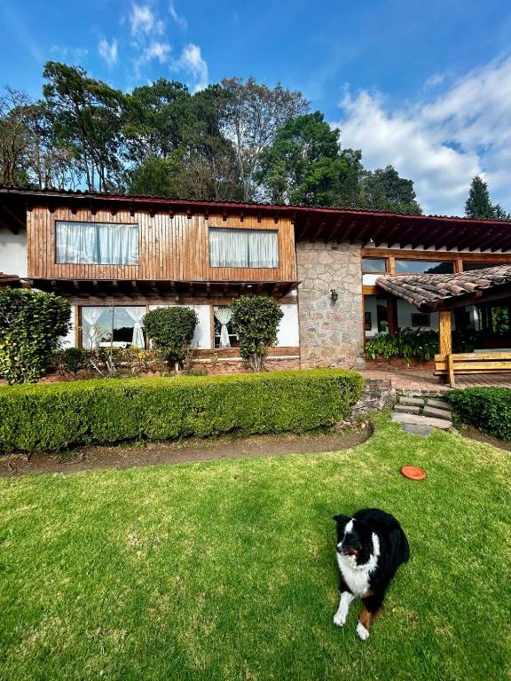 a cat sitting in the grass in front of a house at Rustic Escape Between Valle & Avándaro in Valle de Bravo