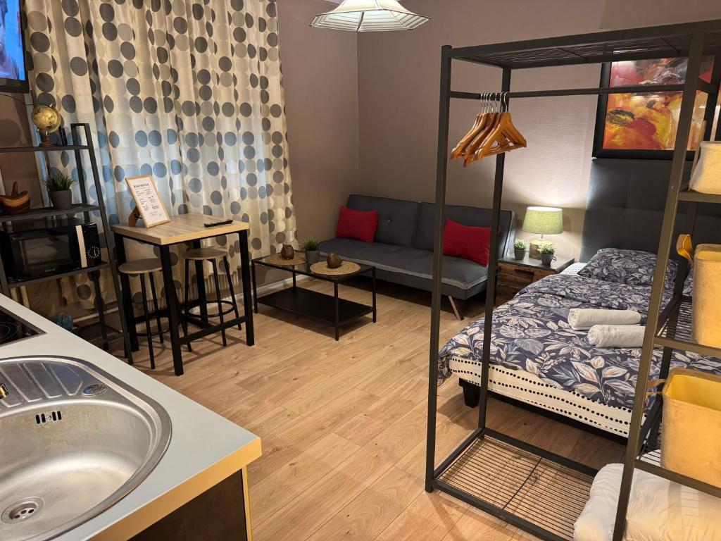 Studio Mulhouse – photo 19