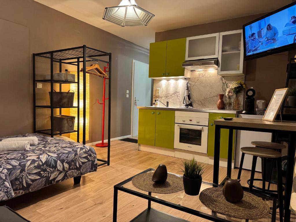 a room with a bed and a kitchen with green cabinets at Studio Mulhouse in Mulhouse