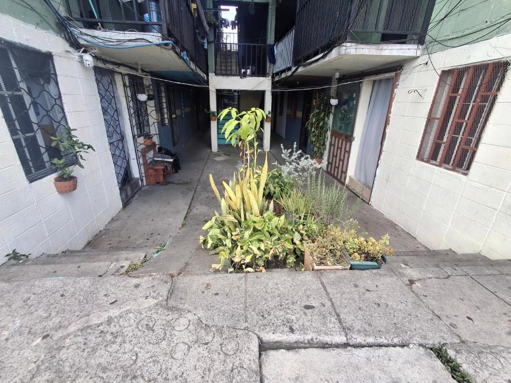 Backpacker's ROOF photo