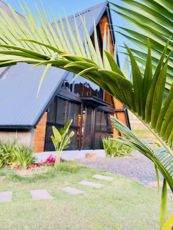 a house with a palm tree in front of it at Chalè Aurora do vale in Cobras
