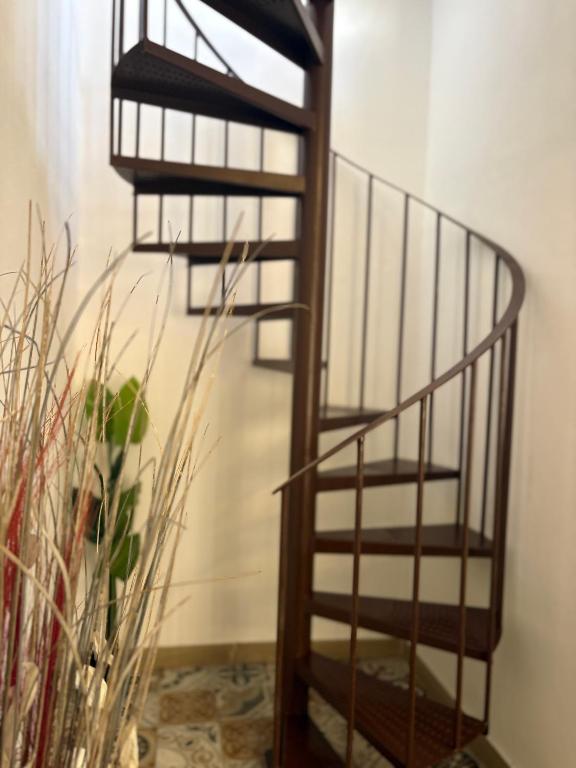 Magallanes 8 - Suite - Triana -