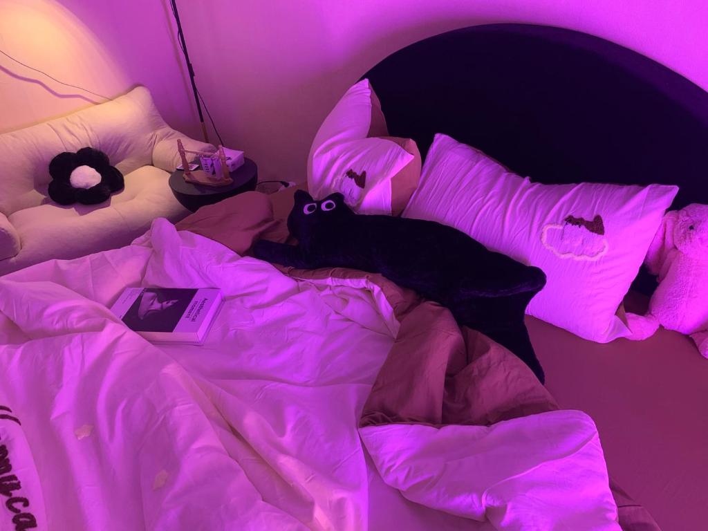 a person laying in a bed with a cat on it at Mây homestay Phan Rang in Bắc Sớn