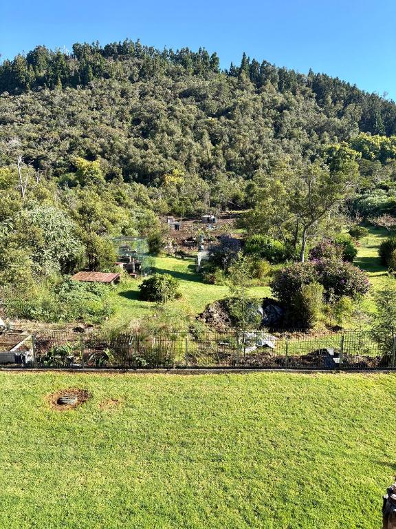 a green field with a hill in the background at Éco-Domaine du volcan, Le Dahlia, studio 2 personnes in La Plaine des Cafres