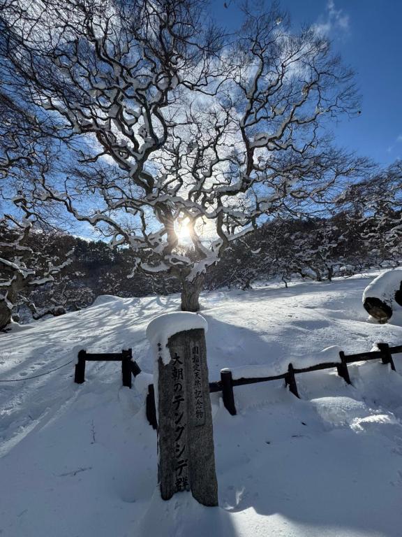a snow covered grave in front of a tree at Blue Art Satoyama Retreat in Ōasa