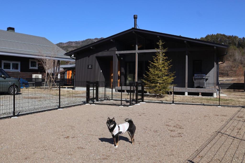 a black and white cat standing in front of a building at Manabi-WAN Takayama in Takayama