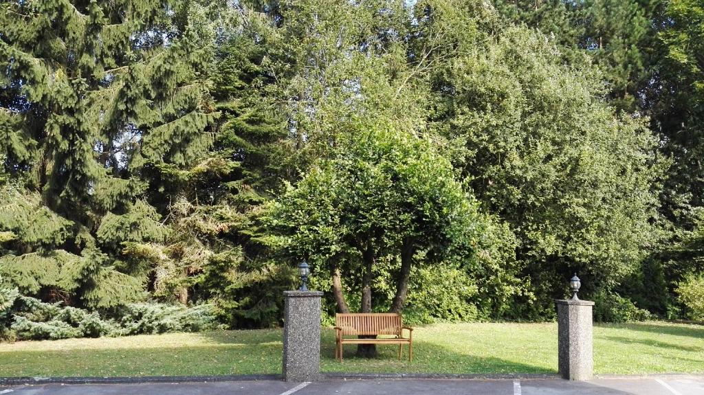 BIVIUS Hotel Restaurant Luxembourg - Resim 30