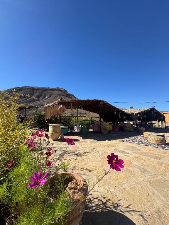 a group of flowers on a beach with a mountain at Lodge bio berber nomad in Nkob