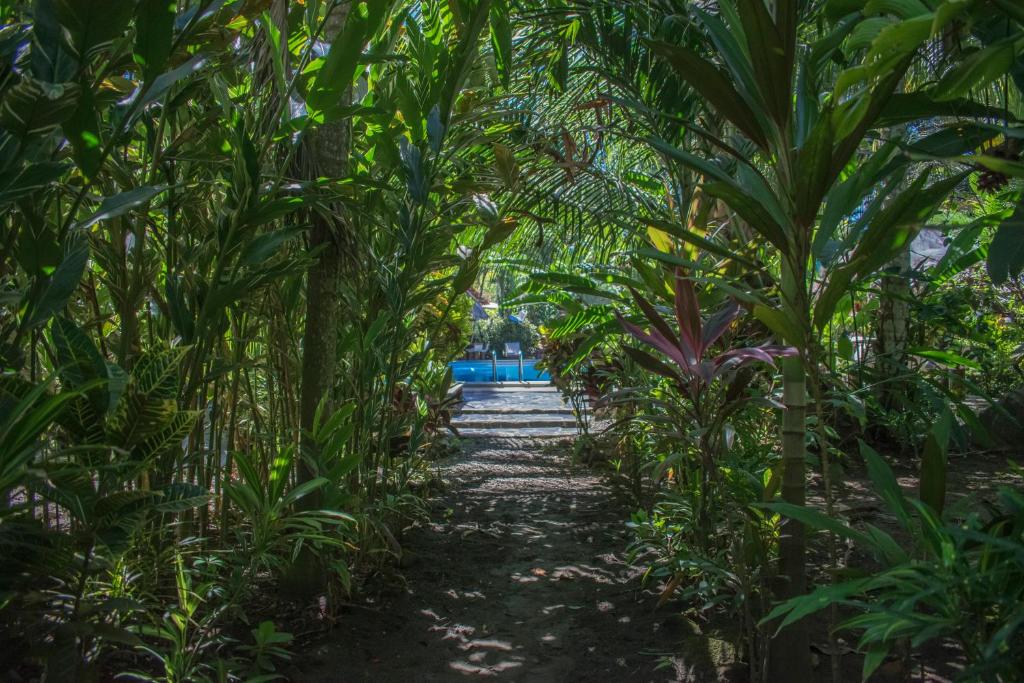 Zahrada ubytování Atlantida Lodge Cahuita