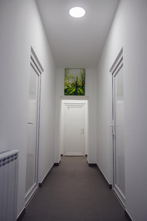 Apartments Petrova170 - 17