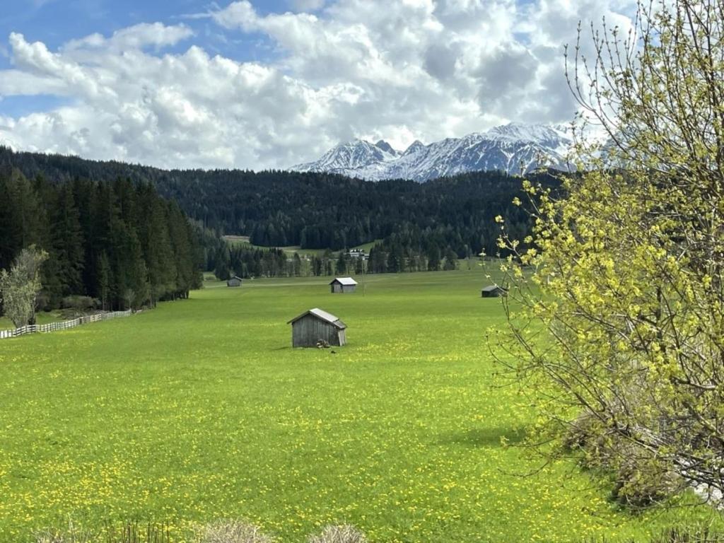 a green field with a barn in the middle of it at Chalet Cristall Superior Appartement 4 in Leutasch