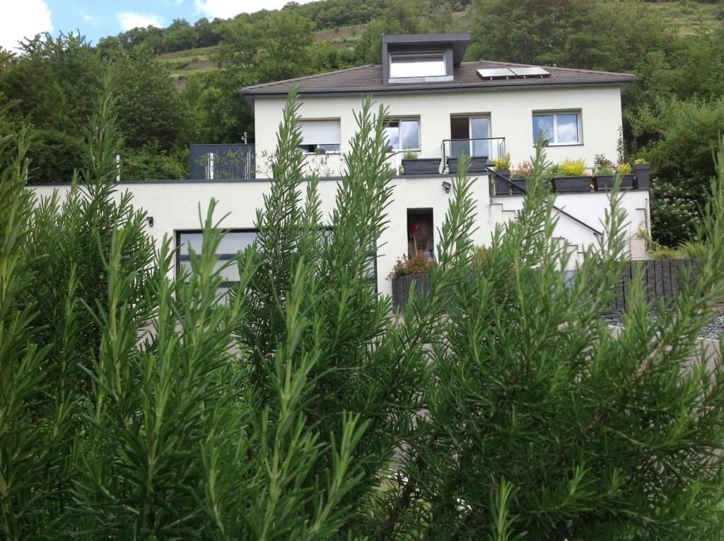 a white house behind some plants at Gîte EMOZIONE in Guebwiller