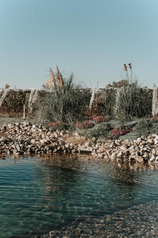 a pool of water with rocks around it at L'orée du bois aux portes de Montauban in Albias