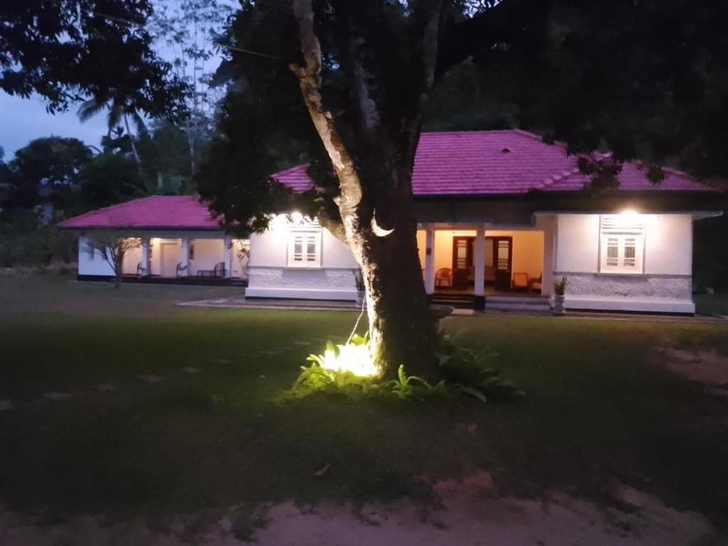 a tree in front of a house at night at George Bungloaw in Henegama