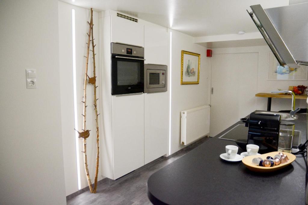 Kuchyňa alebo kuchynka v ubytovaní Gerda Wellness Apartment