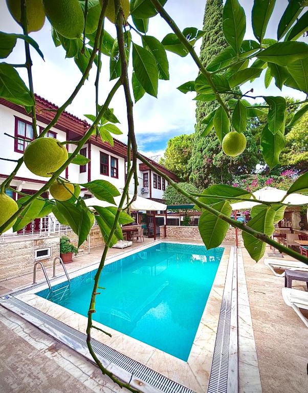 Kolam renang di atau dekat dengan Urcu Hotel