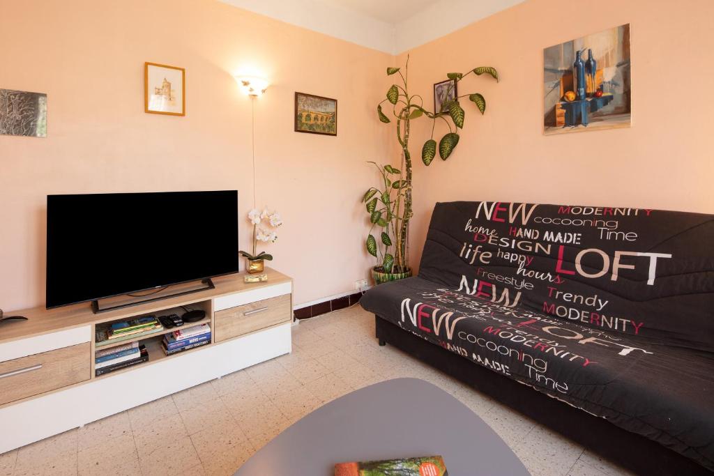 a living room with a couch and a flat screen tv at Le Vigan, balcon, parking, animaux in Le Vigan