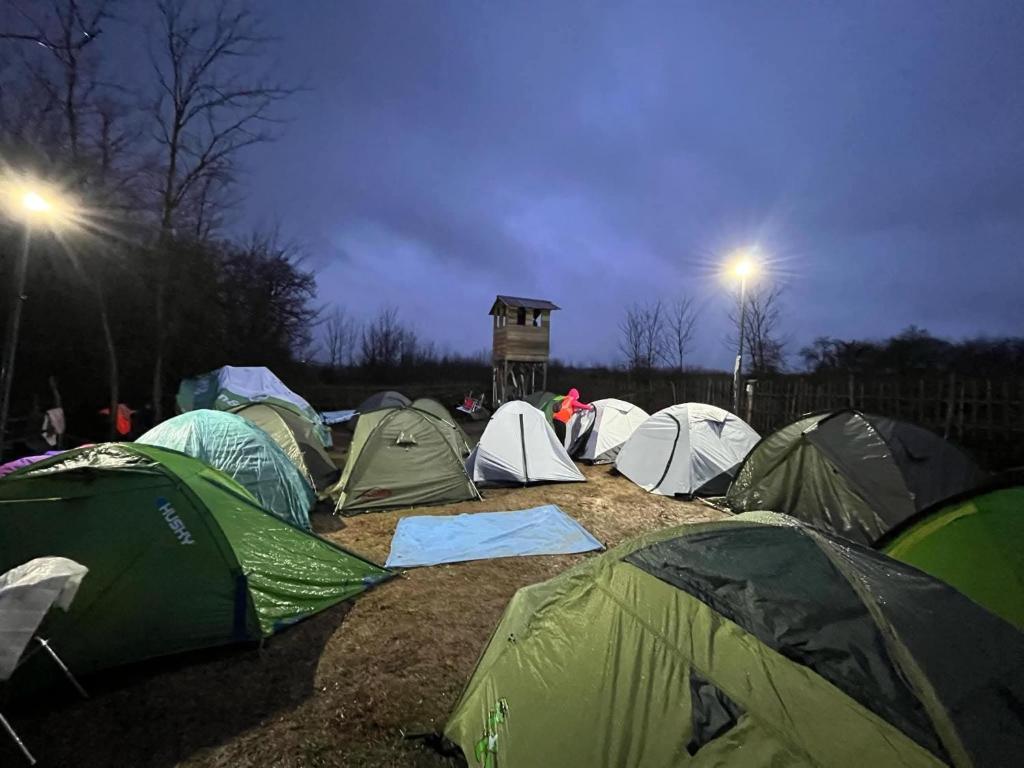 a group of tents in a field at night at Campsite under two oaks in Itʼkhvisi