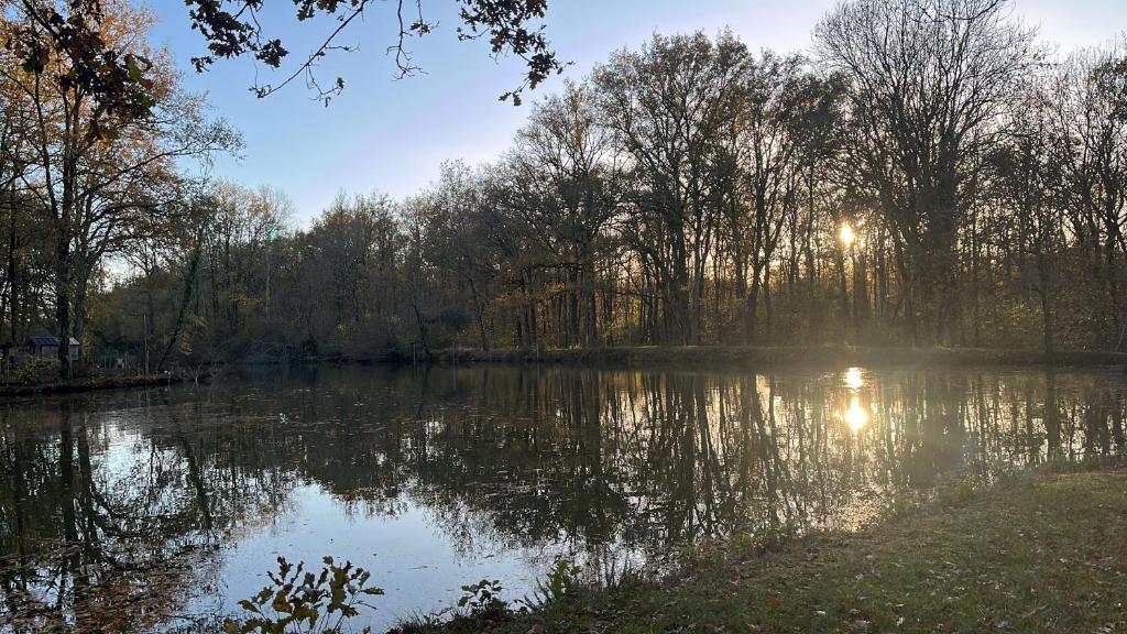 a river with the sun reflecting on the water at Grand Studio Cocon & Spa in Mosnay