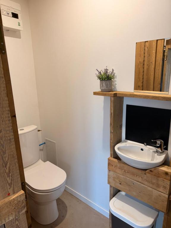 a bathroom with a toilet and a sink at Studio charleureux et cosy in Sceaux-dʼanjou