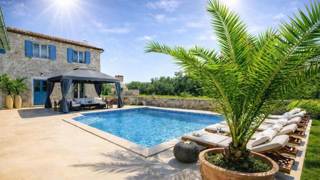 a pool with chairs and a palm tree next to a house at Villa Mela by Villas Guide in Barban