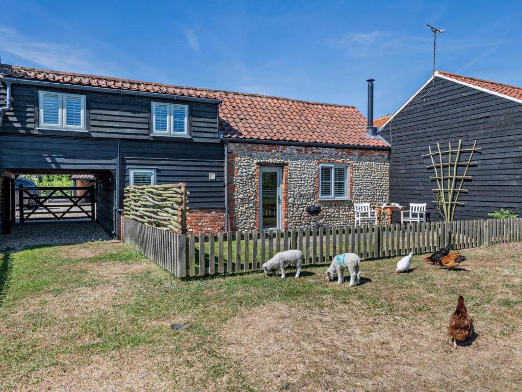 a group of sheep grazing in front of a house at 1 Bed in Kings Lynn oc-32202 in Beeston